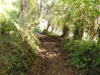 Recorre estrechos y sorprendentes caminos